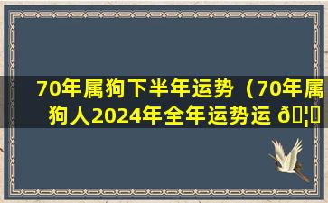 70年属狗下半年运势（70年属狗人2024年全年运势运 🦄 程）